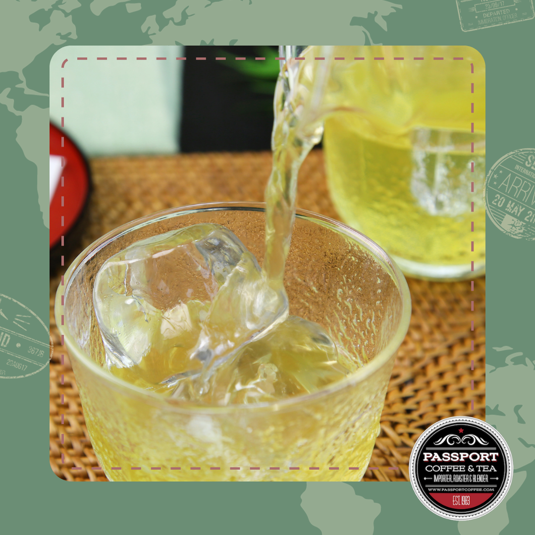 Iced Tea Case - Sencha Green (24 packets/case)