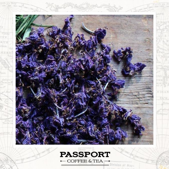 lavender pea flower tea Butterfly Pea Flower- 100%- Herbal Tea