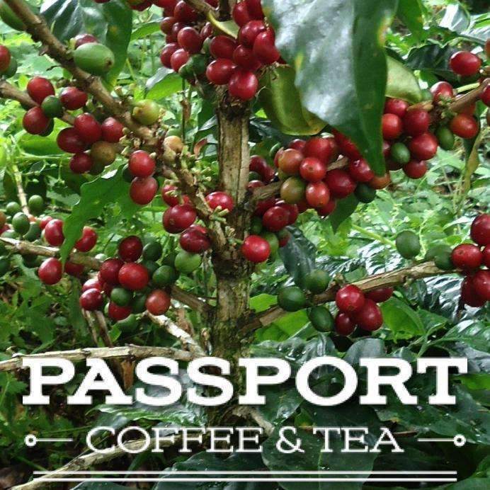 Kenya Nyeri