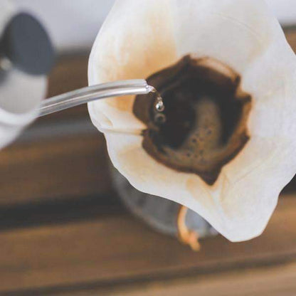 Rainforest Blend