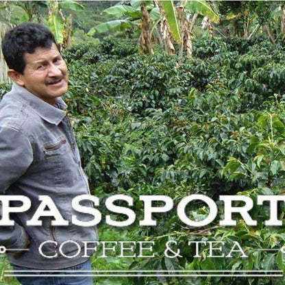 Sumatra - Gayo Mountain